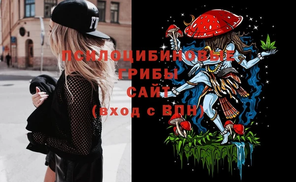 соль ск Покровск