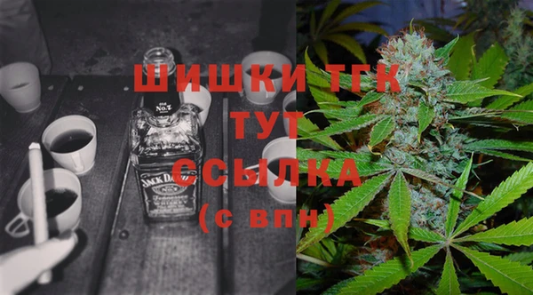 спиды Покачи